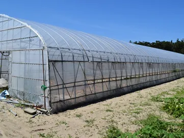 佐賀市の解体工事・解体業者なら創業24年の井手解体実業 | ビニールハウス